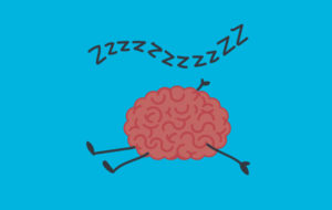 Schlafendes Gehirn